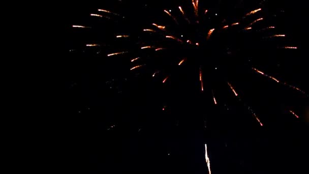 Veri fuochi d'artificio 7 — Video Stock