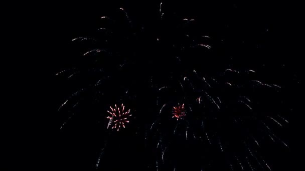 Fuegos artificiales reales 9 — Vídeos de Stock