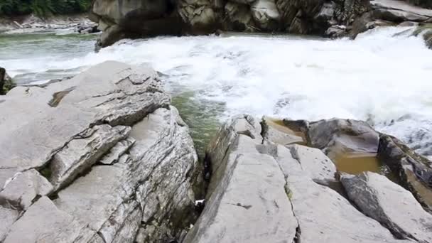 Panorama del fiume di montagna Sinistra — Video Stock