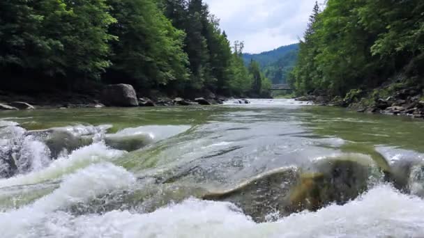 Waterfall And River In Carpathians — Stock Video