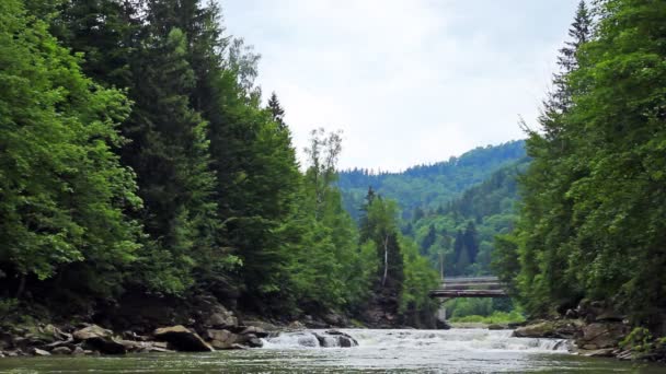 Fluss in den Karpaten — Stockvideo