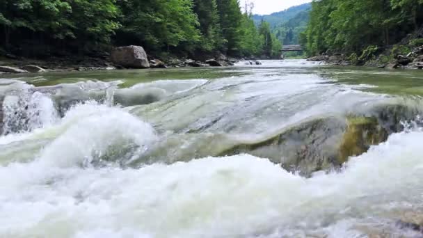 Waterfall In Carpathians — Stock Video