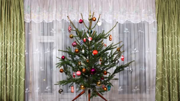 Stopmotion Christmas Tree — Stock Video