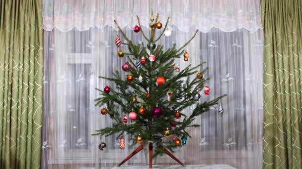 Stopmotion albero e Santa — Video Stock