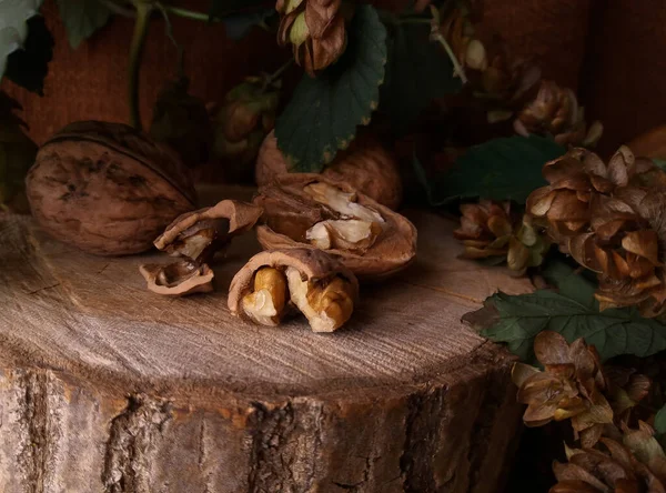 Walnuts Wooden Stump — Stock Photo, Image