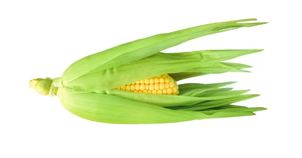 白色背景照片上的甜玉米 — 图库照片