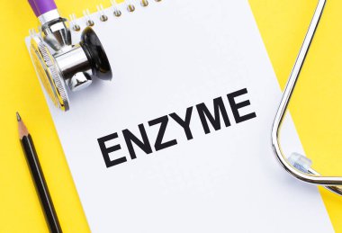 ENZYME kelime steteskop ile tıbbi not defteri üzerine yazın.