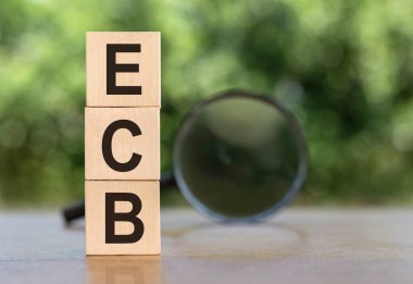 ECB 'nin kısaltması Avrupa Birliği' nin merkez bankası ve avro bölgesinin kısaltmasıdır. Masadaki tahta küplerin üzerinde yeşil arka planda büyüteç var. İş konsepti.