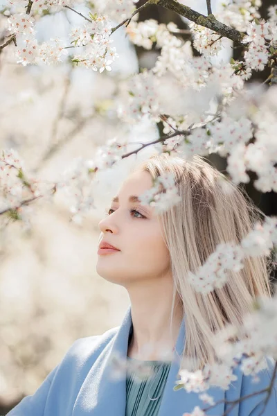 Mulher Bonita Elegante Sensualmente Posando Entre Ramos Maçã Florescendo Primavera — Fotografia de Stock