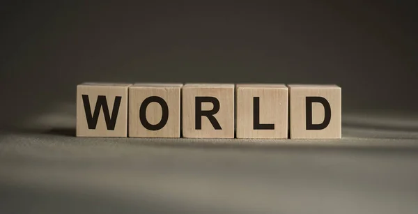 Een Houten Blokken Met Het Woord World Erop Geschreven Een — Stockfoto