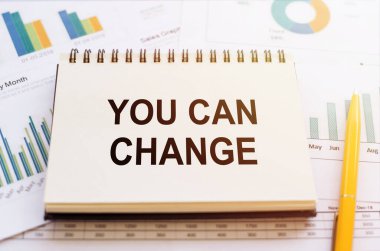 Finansal tablolara ve sarı kalemli grafiklere not defterine yazabilirsiniz..