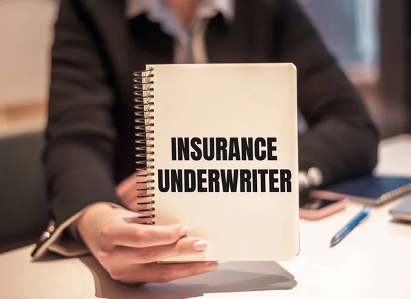 İş kadını, içinde INSURANCE UNDERRITER yazan bir defter tutuyor..