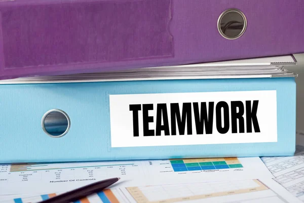 Lignt Blue Folder Label Teamwork — Stock Photo, Image