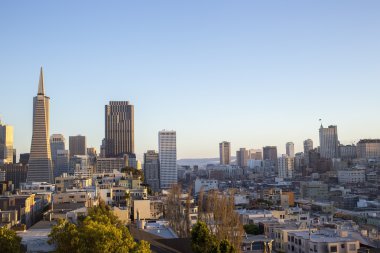 San Francisco şehri