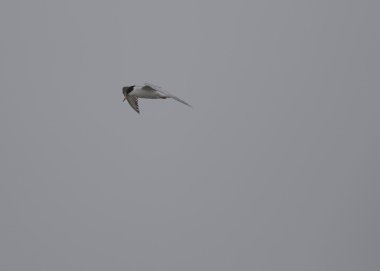 Uçuşta sık rastlanan bir durum