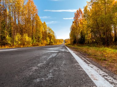 Asphalted yol bir sonbahar ahşap gidiyor.