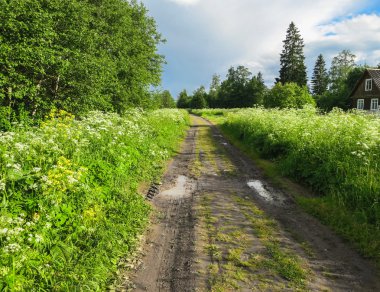 Yaz, orman, çiftlik ve yol.