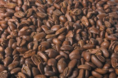 Beyaz arkaplanda fasulye