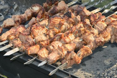 Izgarada ızgara şiş kebap.
