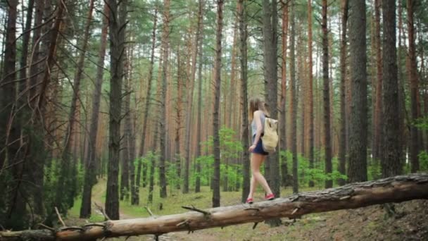 Молодая девушка с рюкзаком в лесу — стоковое видео