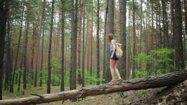 Молодая девушка с рюкзаком в лесу — стоковое видео