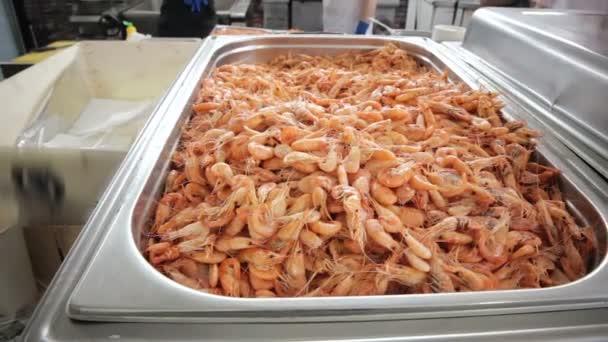 Girl picking shrimp for sale — Stock Video