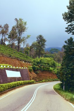 Çay plantasyon Sri Lanka tarafından geçen yol