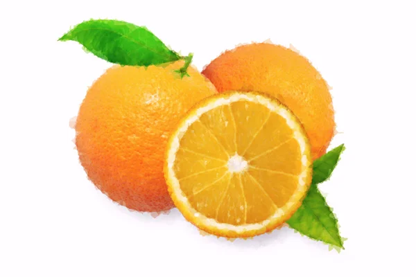 Ζωγραφική με νερομπογιές πορτοκαλί σε λευκό φόντο — Φωτογραφία Αρχείου