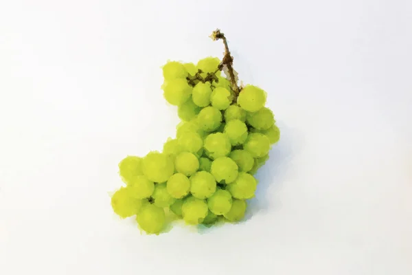 Uvas acuarela verde — Foto de Stock