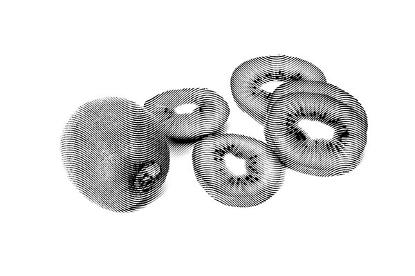 Рисунок киви фрукты и сегменты изолированы на белом фоне
