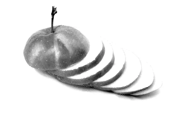 Croquis peinture pomme sur un fond blanc — Image vectorielle