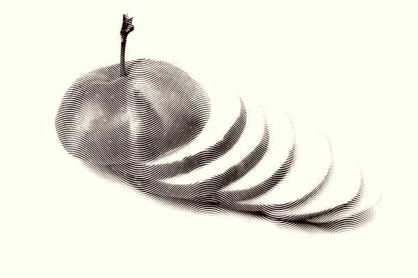 Sketch painting apple on a white background — Stock Photo, Image