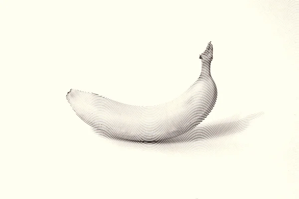 Dibujado Bosquejo de pintura de plátano —  Fotos de Stock