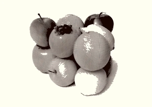 Gyümölcs glosyy készlet — Stock Fotó