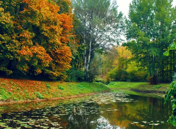 Herfst landschap park — Stockfoto