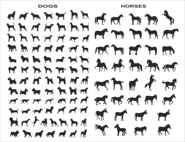 Vector silhouettes köpekler ve atlar