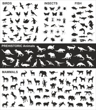 Vector silhouettes çeşitli hayvanların büyük toplama