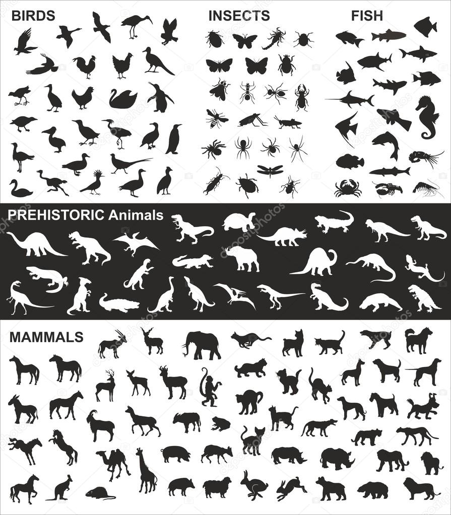 Big collection of vector silhouettes of various animals