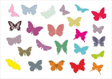 çok sayıda farklı renkli kelebek