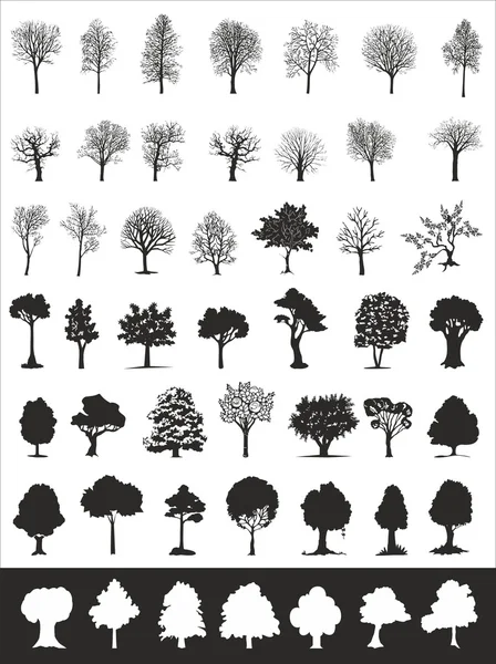 Δέντρα, συλλογή διάνυσμα — Διανυσματικό Αρχείο