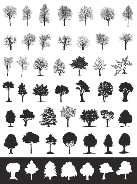 Arbres, collection vectorielle — Image vectorielle