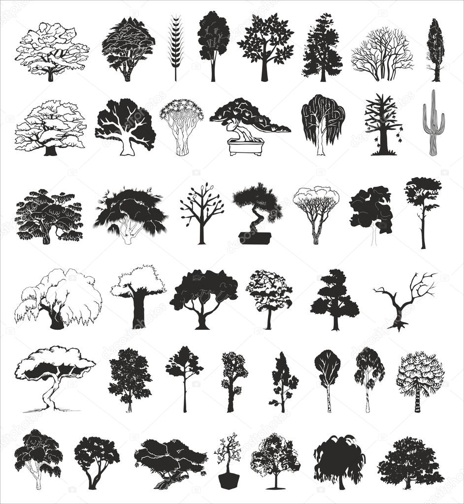 Exotic trees, vector collection