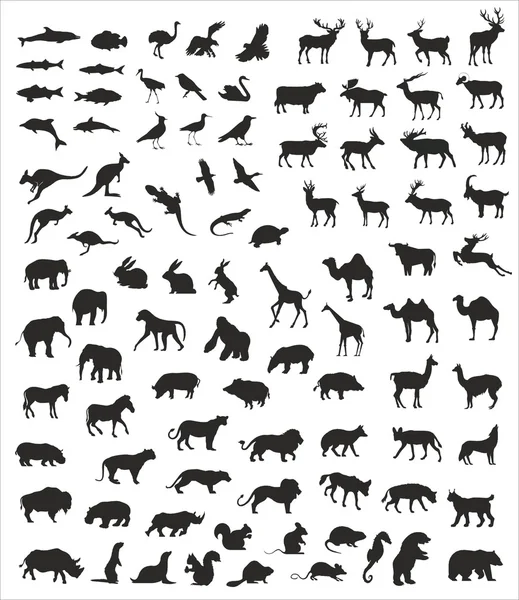 Colección de animales silvestres vectoriales — Vector de stock