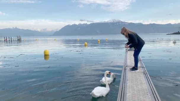 Vrouw Voeden Zwanen Meeuwen Het Meer Met Bergen Achtergrond — Stockvideo