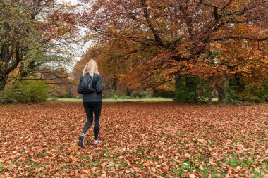 Sırt çantalı, kuru yaprakların üzerinde yürüyen ve sonbahar sahnesinde çimlere düşen tanınmamış bir kadının arka görüntüsü. İnsanlar ve sonbahar kavramı.