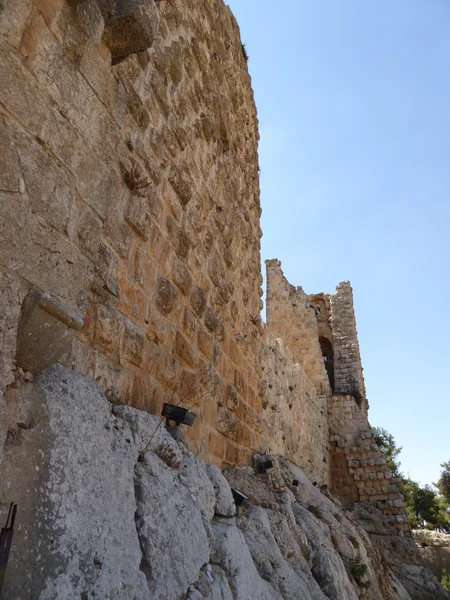 Le château d'Ajloun — Photo