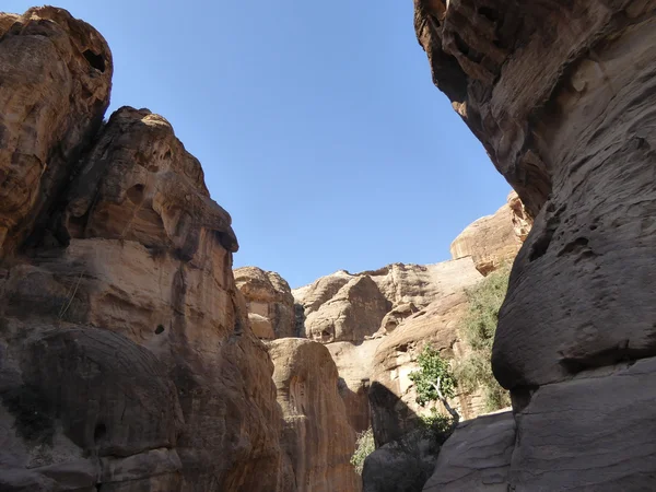 O desfiladeiro em Petra, Jordânia — Fotografia de Stock