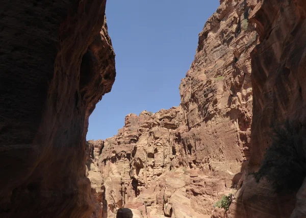 The Gorge in Petra, Jordan — Stock Photo, Image