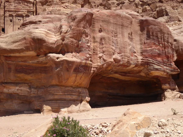 Grumes à Petra, Jordanie — Photo