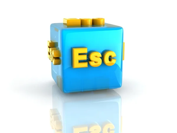 Computer key Esc — Stock Photo, Image